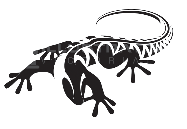 gecko-salamander-flat-black - Illustratof