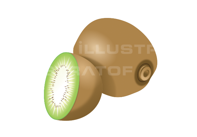 Kiwi Fruit Vector Rich Antioxidants Fiber Stock Vector, 59% OFF