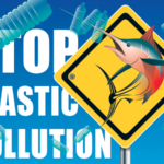 save the sea-Stop Plastic-polución-pollution